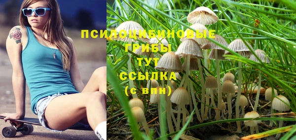 каннабис Бородино
